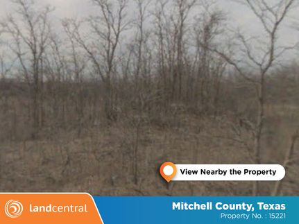 Undeveloped Land for sale in Mitchell County, Texas