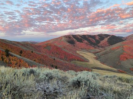 Farm and Ranch for sale in Oneida County, Idaho