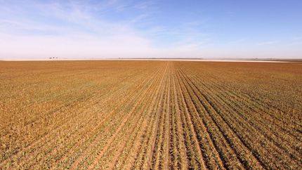 Land for sale in Cochran County, Texas