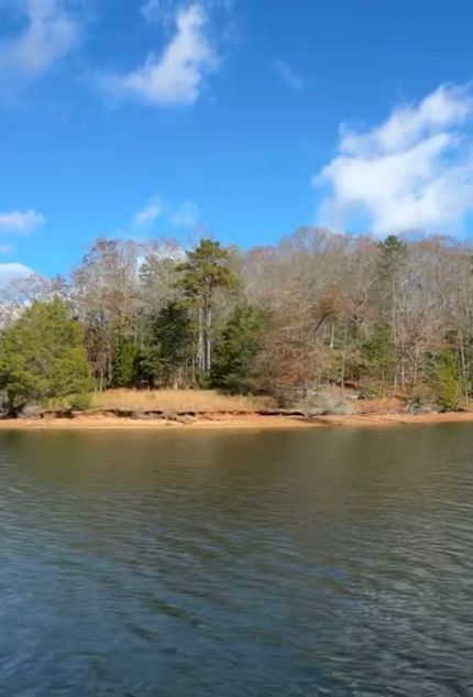 Timberland Property for sale in Abbeville County, South Carolina