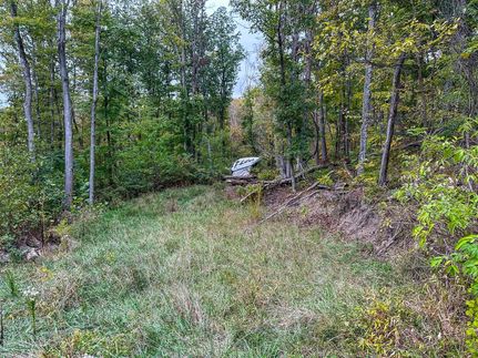 Undeveloped Land for sale in Ross County, Ohio