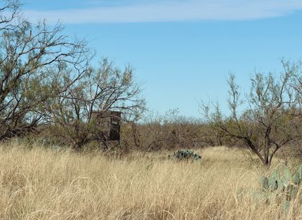 Recreational Property for sale in Mitchell County, Texas