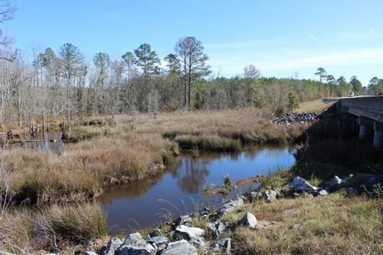 Land for sale in Laurens County, Georgia