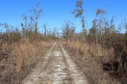 Land for sale in Laurens County, Georgia