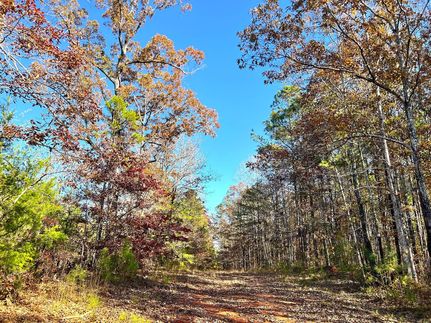 Land for sale in Elmore County, Alabama