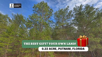 Land for sale in Putnam County, Florida