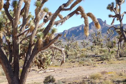 Homesite for sale in Mohave County, Arizona
