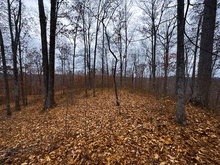 Hunting Property for sale in Ritchie County, West Virginia