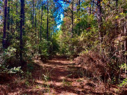 Farm and Ranch for sale in Lamar County, Mississippi