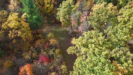 Recreational Property for sale in Clare County, Michigan