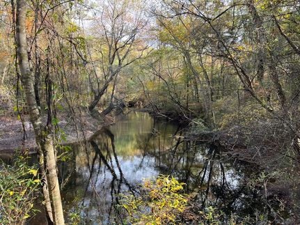 Land for sale in Pickens County, Alabama