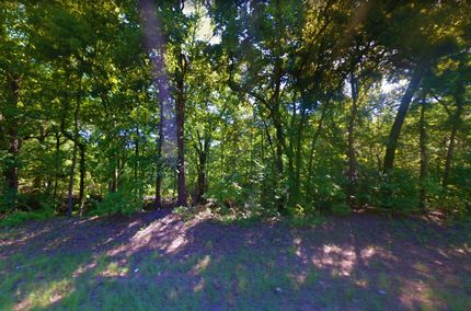 Undeveloped Land for sale in Marion County, Texas