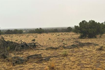Undeveloped Land for sale in Apache County, Arizona