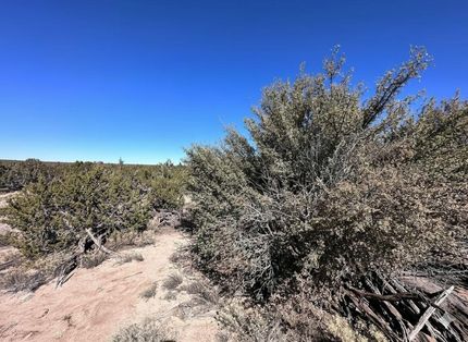Homesite for sale in Apache County, Arizona