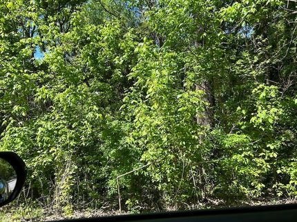 Horse Property for sale in Cullman County, Alabama