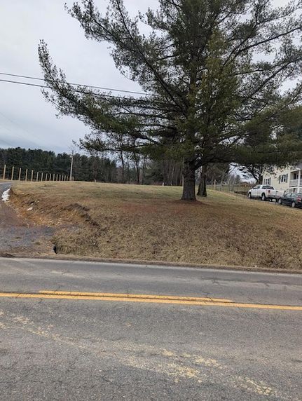 Undeveloped Land for sale in Washington County, Virginia