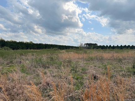 Land for sale in Drew County, Arkansas