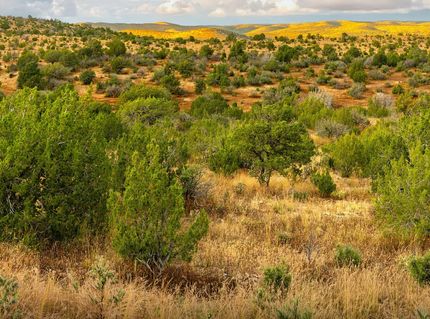 Land for sale in Otero County, New Mexico