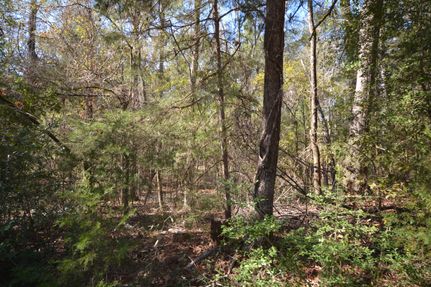 Land for sale in Houston County, Texas