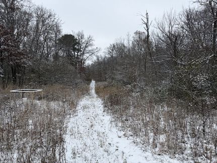 Land for sale in Marion County, Illinois