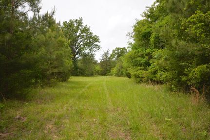 Land for sale in Nacogdoches County, Texas