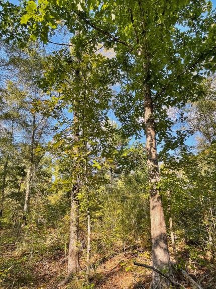 Land for sale in Butts County, Georgia