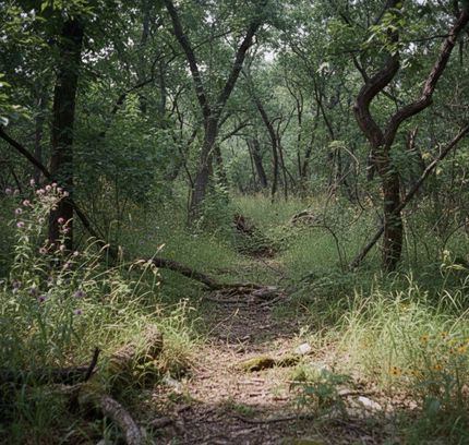 Undeveloped Land for sale in Seminole County, Oklahoma