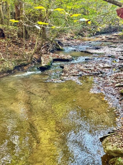 Land for sale in Butts County, Georgia