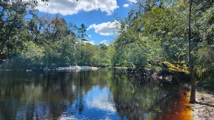 Undeveloped Land for sale in Charlton County, Georgia