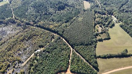 Timberland Property for sale in Tippah County, Mississippi