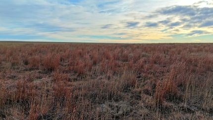 Hunting Property for sale in Kiowa County, Colorado