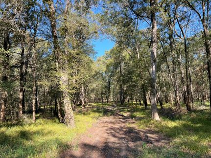 Land for sale in Leon County, Texas