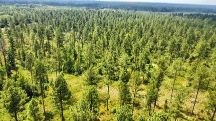 Recreational Property for sale in Hinds County, Mississippi