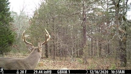 Recreational Property for sale in Stone County, Arkansas