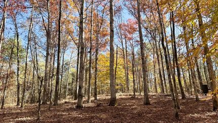Land for sale in Oglethorpe County, Georgia