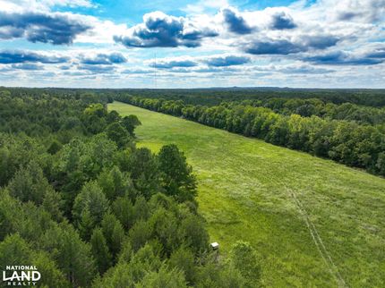 Land for sale in Lowndes County, Alabama