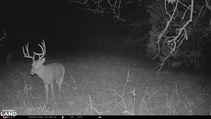 Waterfront Property for sale in Hughes County, Oklahoma