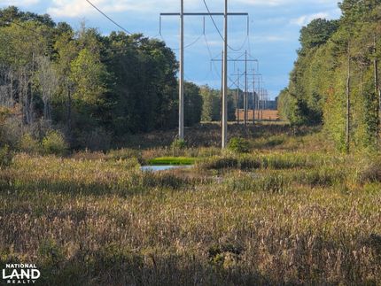 Timberland Property for sale in Geneva County, Alabama