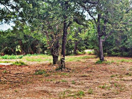 Undeveloped Land for sale in Montague County, Texas
