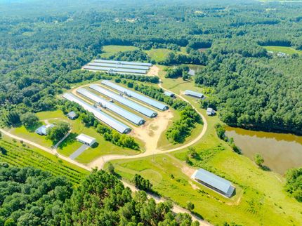 Land for sale in Harnett County, North Carolina