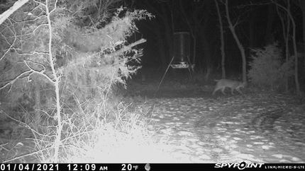 Timberland Property in Butler County, Kansas