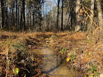 Farm and Ranch for sale in Owsley County, Kentucky