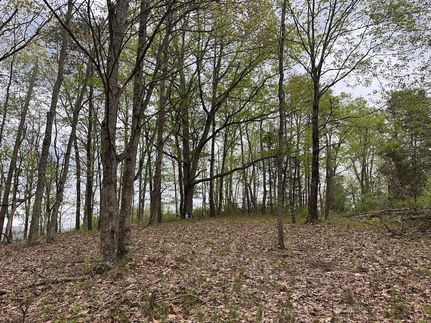 Farm and Ranch for sale in Putnam County, West Virginia