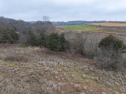 Undeveloped Land for sale in Allamakee County, Iowa