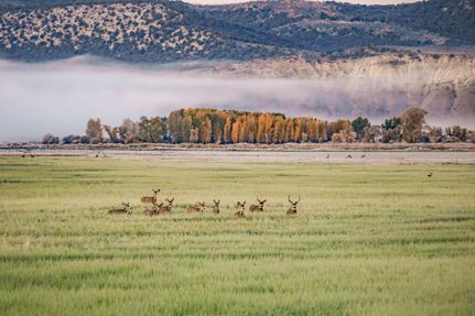 Land for sale in Moffat County, Colorado