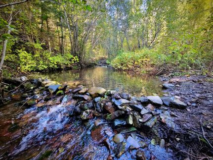 Recreational Property for sale in Mineral County, Montana