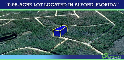 Land for sale in Jackson County, Florida