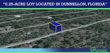 Undeveloped Land for sale in Levy County, Florida