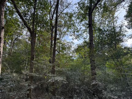 Undeveloped Land for sale in Polk County, Texas