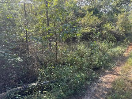 Land for sale in Phelps County, Missouri